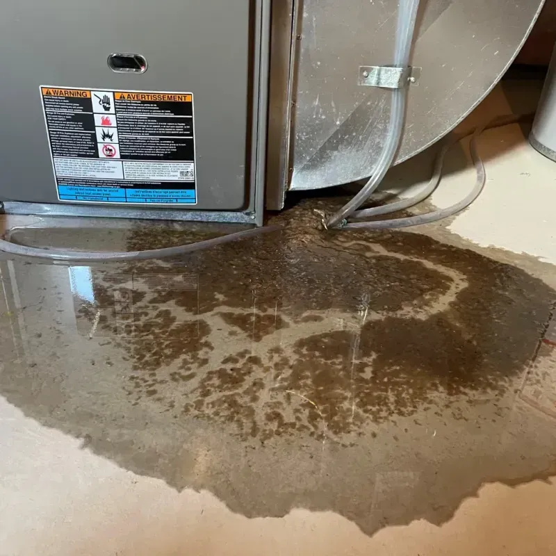 Appliance Leak Cleanup in Antioch, IL